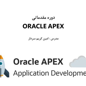 دوره مقدماتی اموزش اوراکل اپکس